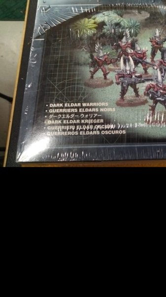 Dark Eldar Warriors