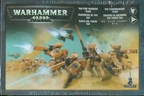 Tau Fire Warrior Team