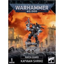 Raven guard Kayvaan Shrike