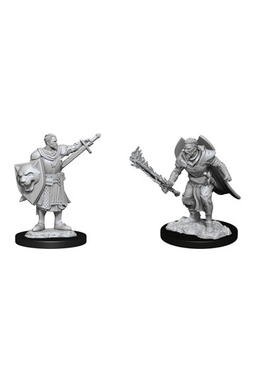 Pathfinder Battles Deep Cuts Unpainted Miniatures Human Champion Male