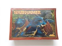 Lizardmen Saurus Warrior Regiment